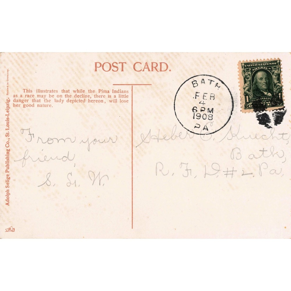 Native American Woman Holding Pet Dog Antique Postcard 1908 Adolph Selige 2835 - Picture 2 of 2